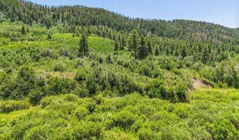 3230 Bear Creek Rd, Bayfield, CO 81122
