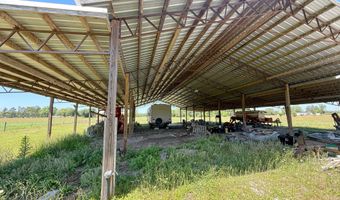 6491 Wolf Pond Rd, Bascom, FL 32423