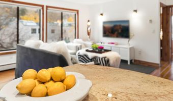 725 E Main St 309, Aspen, CO 81611