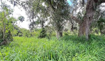 ASH STREET, Arcadia, FL 34266
