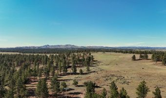 NHN Tongue River Rd, Ashland, MT 59003