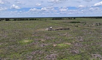 6691 County Road 763, Arcadia, FL 34266