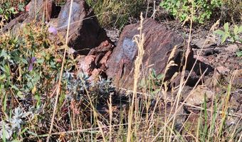 0 Crystal Mountain Rd, Bellvue, CO 80512