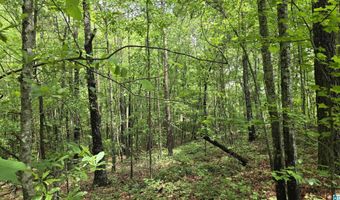0 CRAGFORD Rd, Ashland, AL 36251