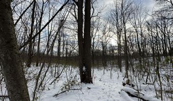 2770 S Wagner Rd, Ann Arbor, MI 48103