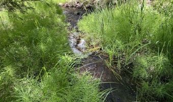 680-550 Butte Creek Rd, Adin, CA 96006