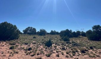 004 N9027, Concho, AZ 85924
