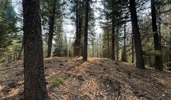 Tbd Sawtooth Loop, Cascade, ID 83611