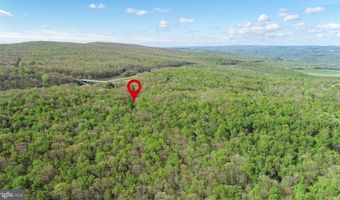 2461 OLD MORGANTOWN Rd E, Accident, MD 21520