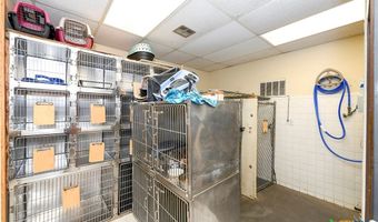 13039 Nacogdoches Rd, San Antonio, TX 78217