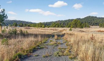 10201 Packsaddle Rd, Cascade, ID 83611