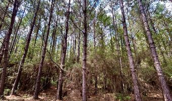 3951 MS-42, Bassfield, MS 39421