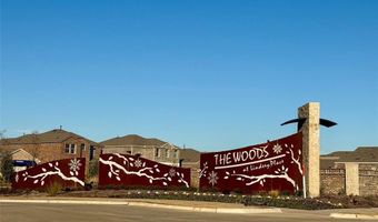 2025 Eugene St, Anna, TX 75409