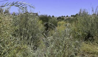 330 Veris Ct 1, Gardnerville, NV 89410