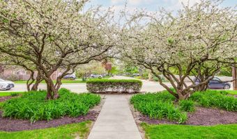 809 E Miner St 3B, Arlington Heights, IL 60004