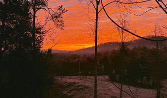 1475 Davis Valley Rd, Afton, TN 37616