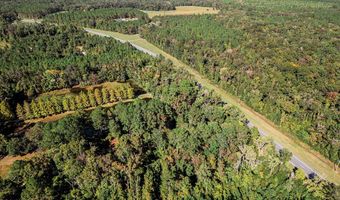 TBD State Rd 121, Alachua, FL 32615