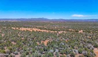 Stagecoach Dr 47 Acres, Ash Fork, AZ 86320