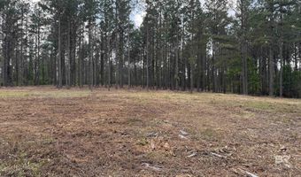Ronald Sanks Road, Bay Minette, AL 36507