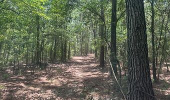 13026 Highway 122, Barney, GA 31625