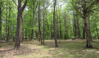 238 My Way, Amherst, VA 24521
