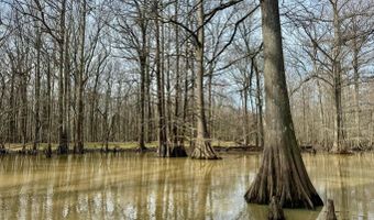 Putnam Road, Belzoni, MS 39038
