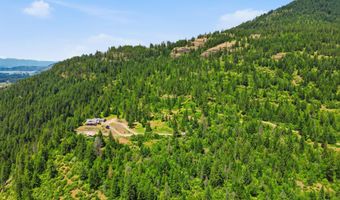 1010 Mc Quade Gulch Dr, Clark Fork, ID 83811