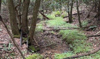 Hall Hollow Road, Austinville, VA 24312