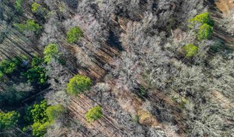 365 Skinner Rd, Austin, AR 72007