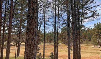 Lot 1133 Spyglass Hill Rd, Angel Fire, NM 87710