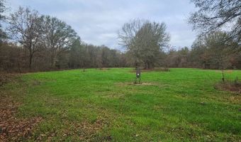 001 CR 532, Avalon, MS 38917