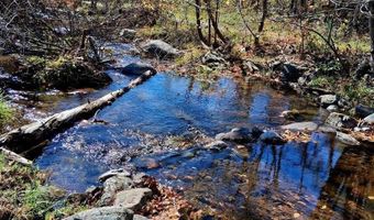 0 N Forks Rd, Amherst, VA 24521