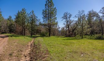 350 BREWER Rd, Appleton, WA 98602