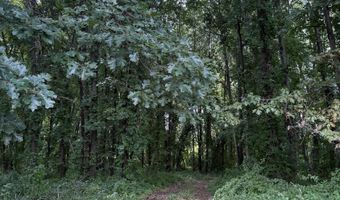 C Drive N, Albion, MI 49224