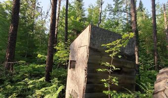 501 Geronimo Rd, Alpena, MI 49707