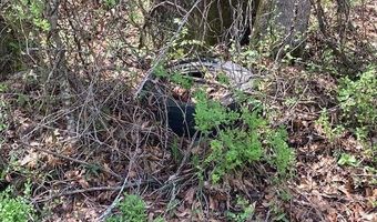 Hickory Cir, Alexander City, AL 35010