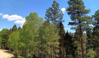 Lot 1380 Santo Domingo Tail, Angel Fire, NM 87710