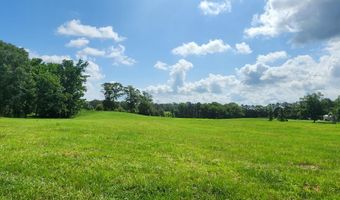 3350 Mount Pleasant Ln SE, Bogue Chitto, MS 39629
