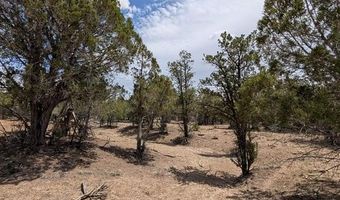 160 Cedar Dr, Arboles, CO 81121