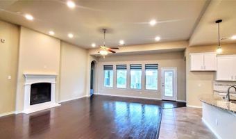 1107 Brooklyn Dr, Anna, TX 75409
