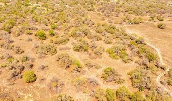 Blackjack Trail, Adkins, TX 78101