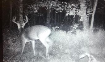 001 Farr Rd, Bolton, MS 39041