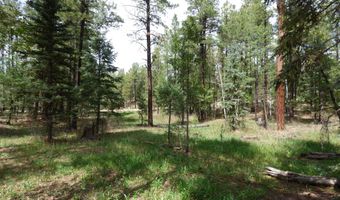 38 CR 2266, Alpine, AZ 85920