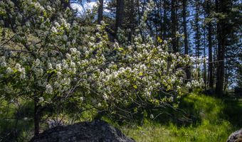 87 Rock Ridge Way, Bigfork, MT 59911