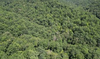 1083 Right Fork Crummies Crk, Arnoldsburg, WV 25234
