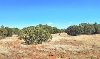 20 CO Rd, Concho, AZ 85924