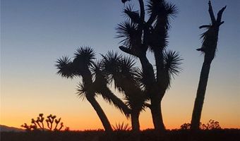 2624 S Gold Mine Rd, Yucca, AZ 86438