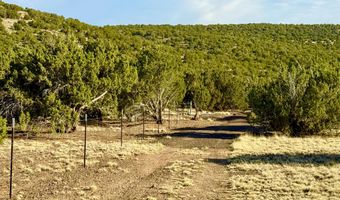 37 Co Rd N8174 10.1 Acres, Concho, AZ 85924