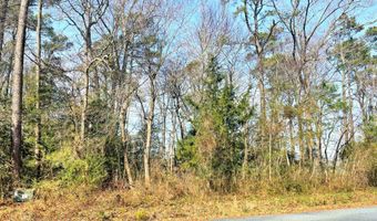 SANDPIPER LANE lot 23, Atlantic, VA 23303