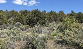 Medicine Mountain Drive, Beatty, OR 97621